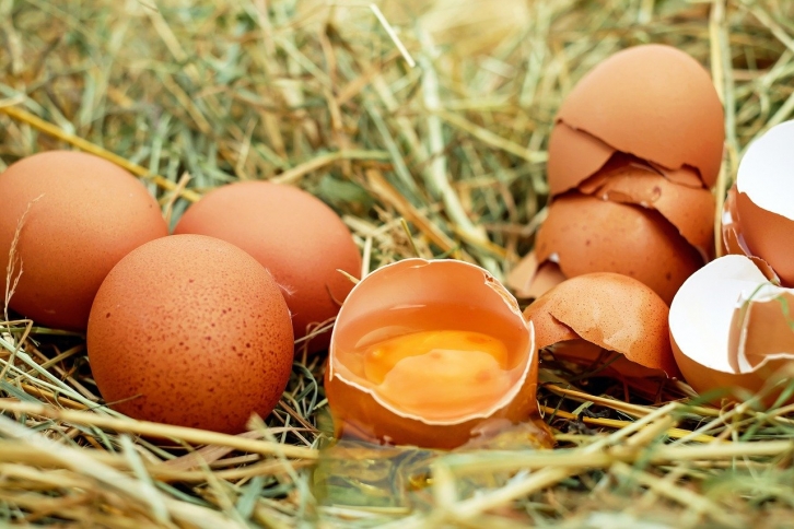 Власти заявили, что не будут повышать цену на куриные яйца и мясо птицы