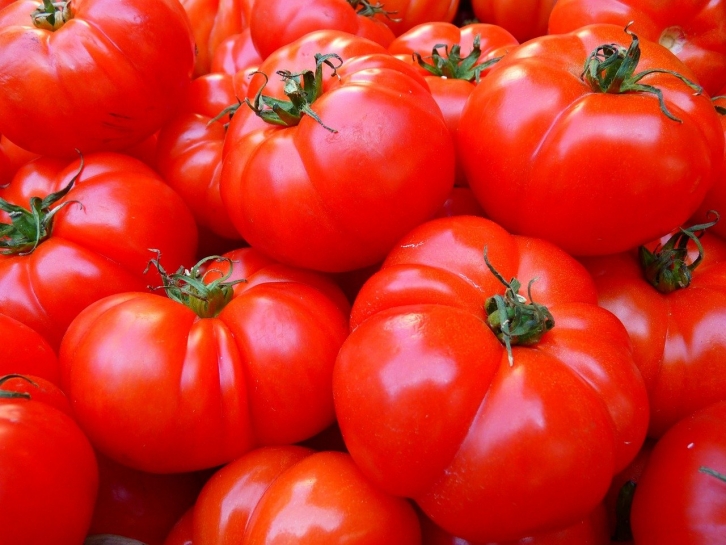 Учёные доказали, что при помощи музыки можно повысить урожайность помидоров