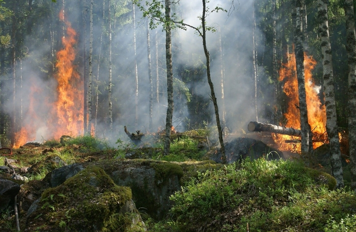 «Не драматизируйте»: полпред о катастрофе в Якутии, где выгорело 7 миллионов гектаров