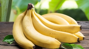 На Дальнем Востоке начали выращивать бананы