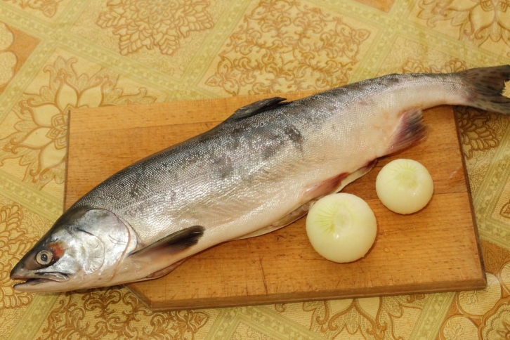 На Сахалине будут судить рыбного мошенника из Краснодара