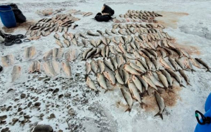 На Камчатке бывший инспектор рыбоохраны помогал незаконно ловить рыбу