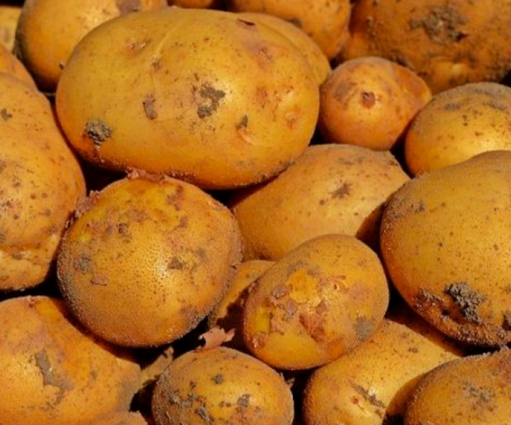 В России могут запретить продавать картофель, другие овощи и фрукты в сетках