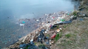  «Путешествие» мусора изучили в Дальневосточном морском заповеднике 