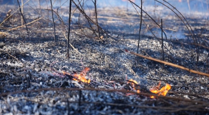В Приморье продолжают полыхать пожары