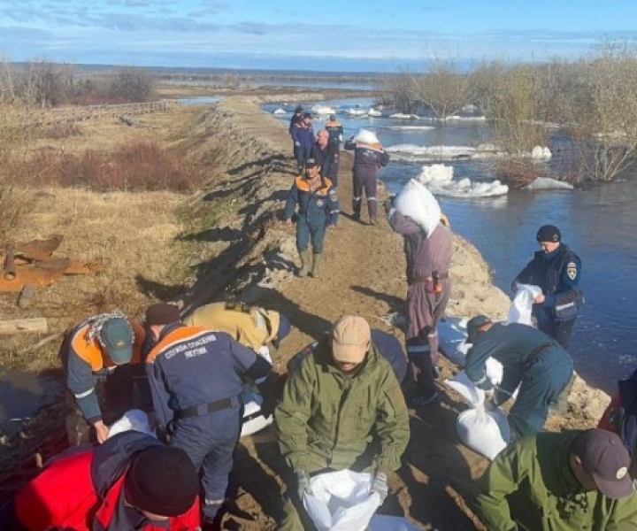 В Якутии река Лена вышла из берегов: восемь сел оказались подтопленными