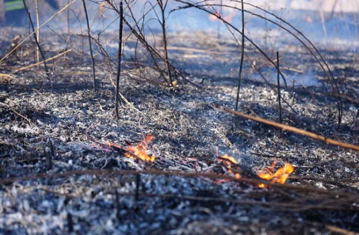 Прокуратура возбудила ряд уголовных дел из-за лесных пожаров