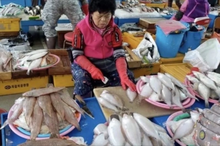 Неожиданный поворот: общественность Владивостока против строительства рыбного рынка