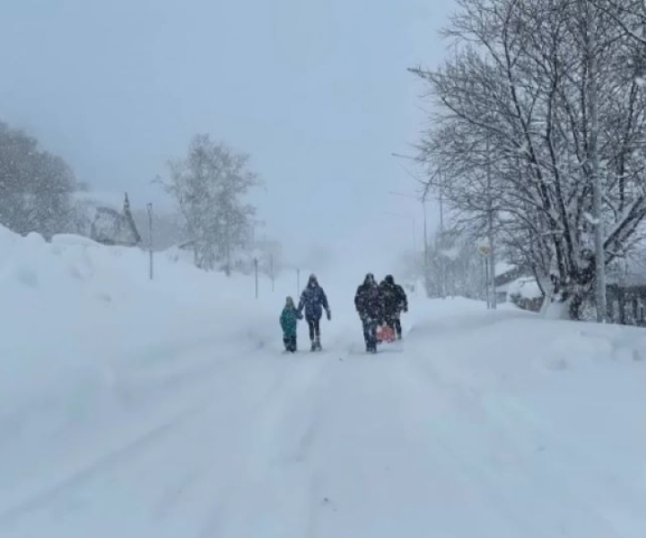 Врачи 8 км несли на руках девочку в больницу