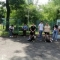 В Приморье начнут проверять регистрацию у собак