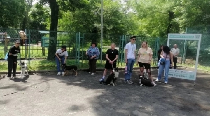 В Приморье начнут проверять регистрацию у собак В Приморье начнут проверять регистрацию у собак