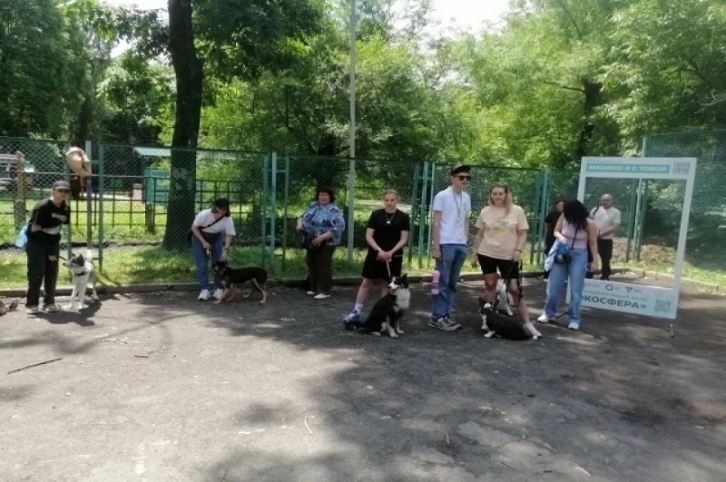 В Приморье начнут проверять регистрацию у собак