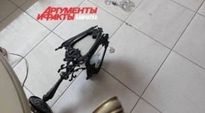 Ученый объяснил частые и сильные землетрясения на Камчатке